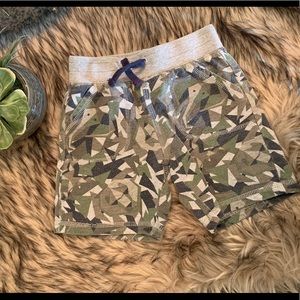 3T toddler boy Flapdoodles TShirt Shorts